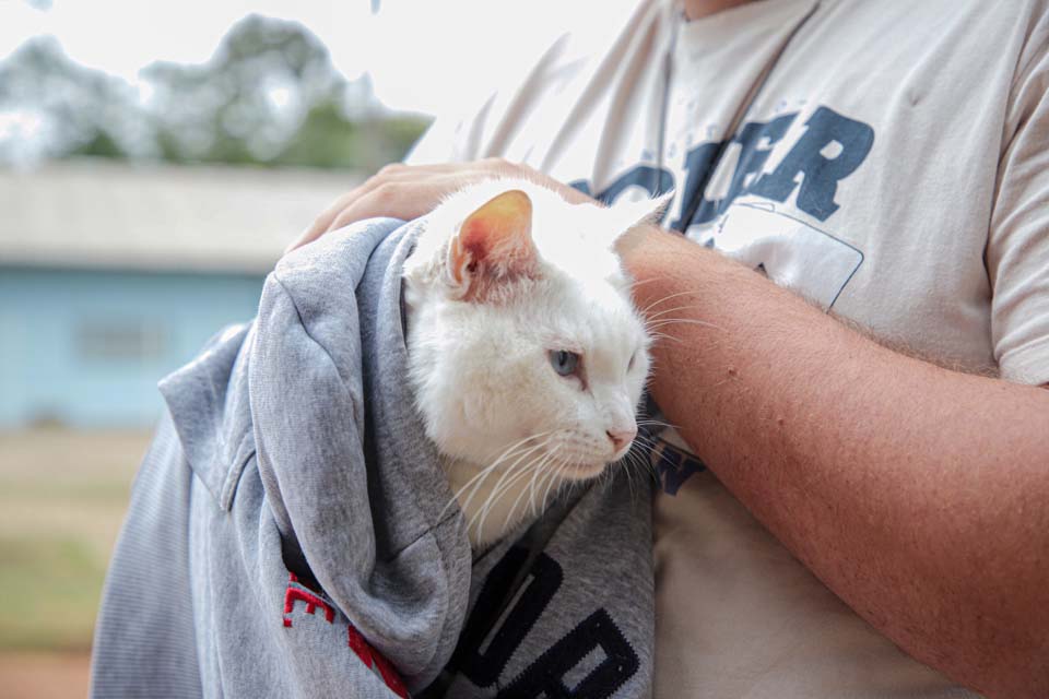 Porto Velho: Mais de 200 animais são vacinados contra a raiva na Vila Dnit e linhas próximas