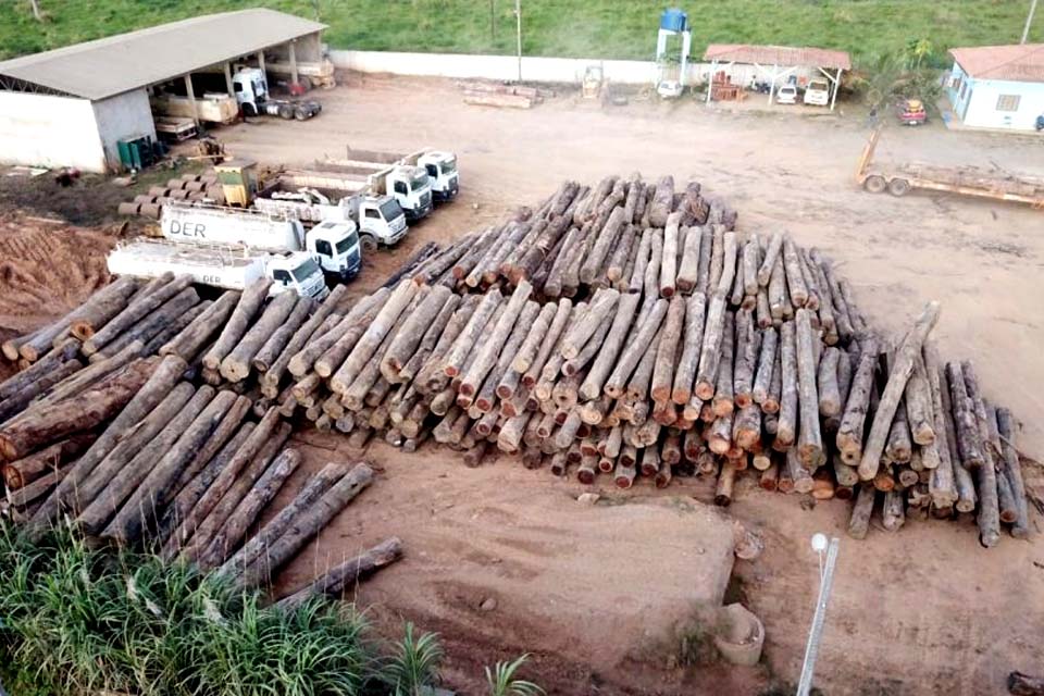 Ações de fiscalização, combate a incêndios florestais e extração ilegal de madeira são reforçados em Rondônia