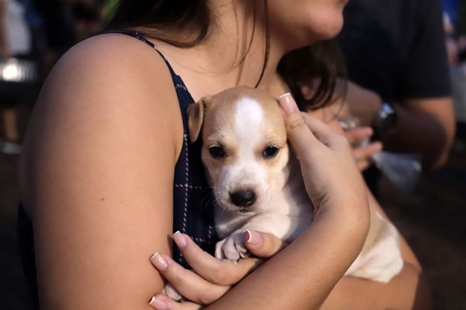 Mais de 90 animais ganham lar durante a segunda feira de adoção de cães e gatos de Porto Velho