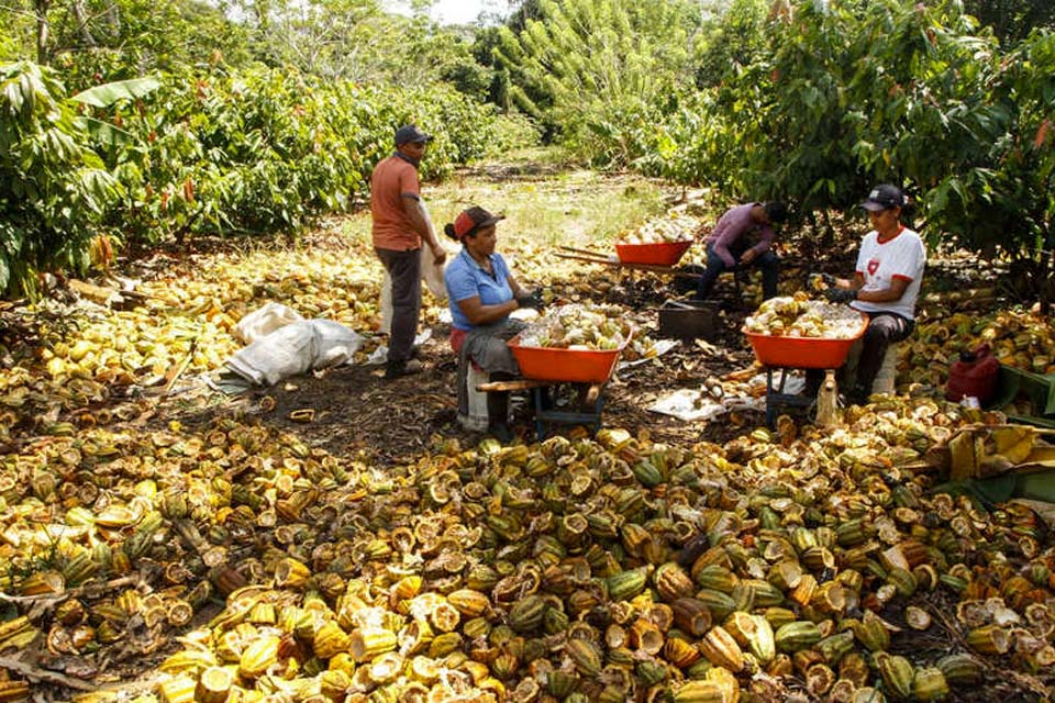 Desenvolvimento econômico e sustentável ganha força na Amazônia