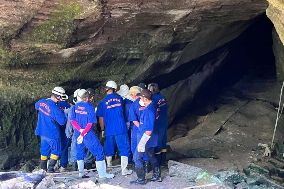 Treinamento de controle de morcego transmissor da raiva é realizado em Colorado do Oeste