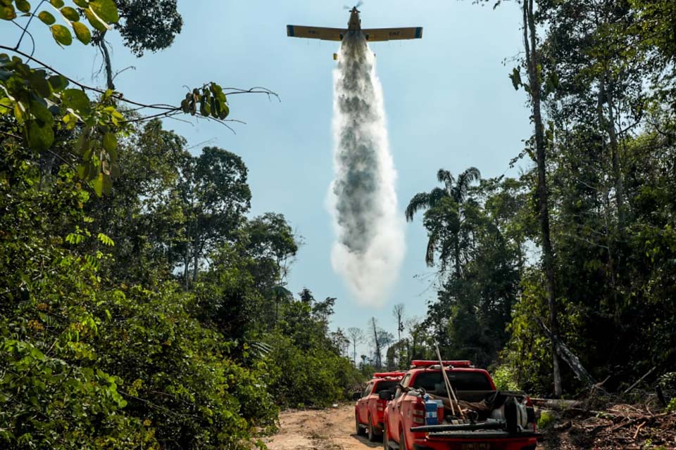 Rondônia alcança menor taxa de desmatamento na Amazônia