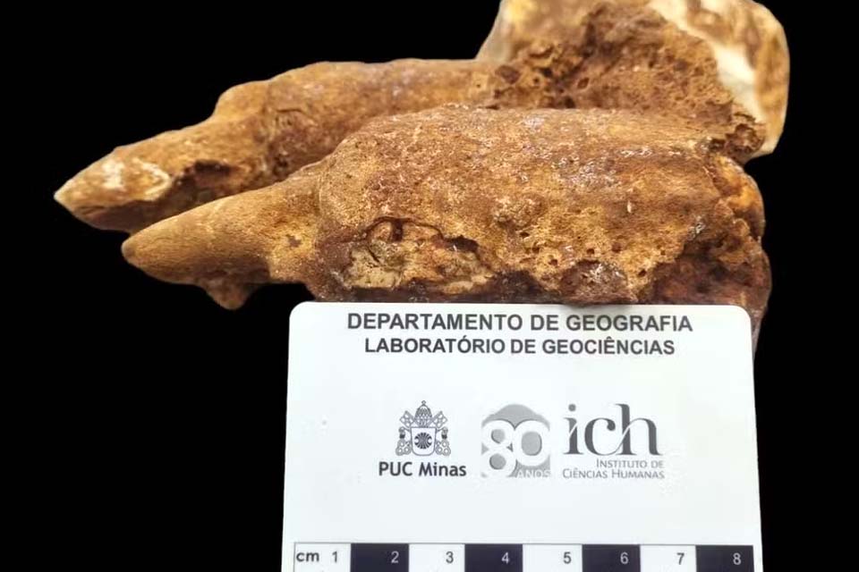 Fósseis de preguiça-gigante que viveu na 'Era do Gelo' são descobertos no interior de MG