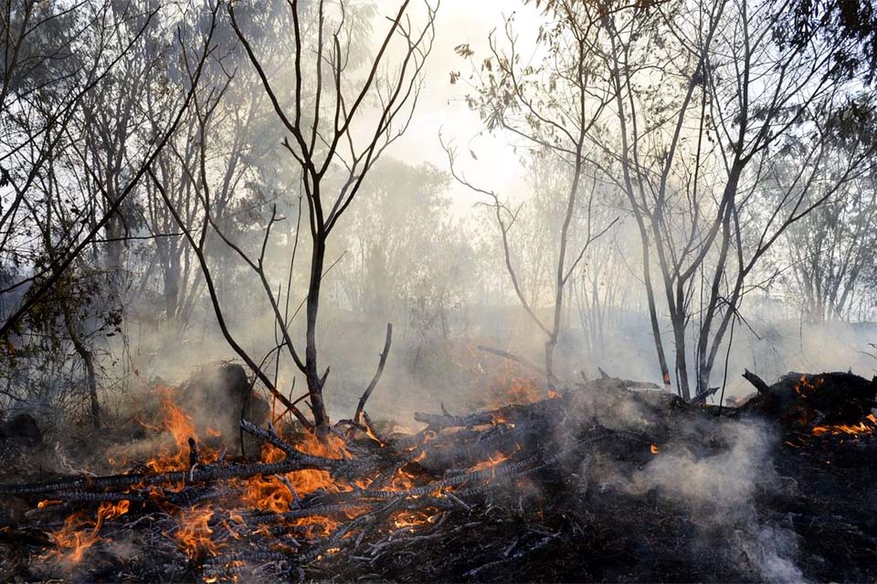 Câmara aprova regras para uso controlado do fogo em práticas agrícolas