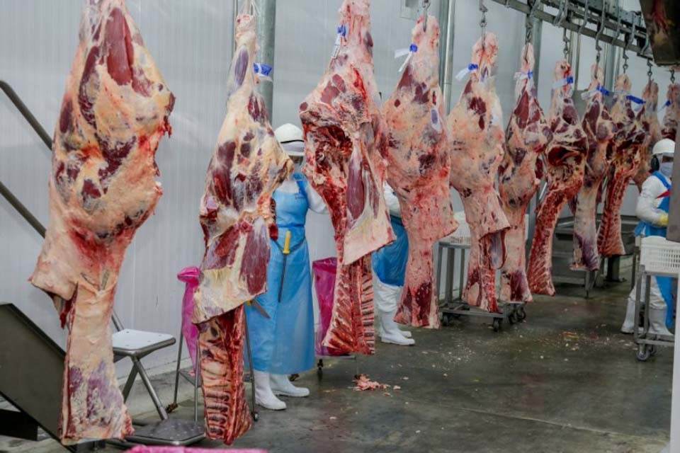 Reunio discute viabilizar a exportao da carne bovina de Rondnia pelo rio Madeira