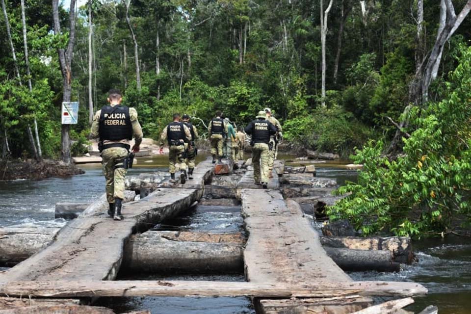 PF combate extração ilegal de madeira e protege áreas de preservação