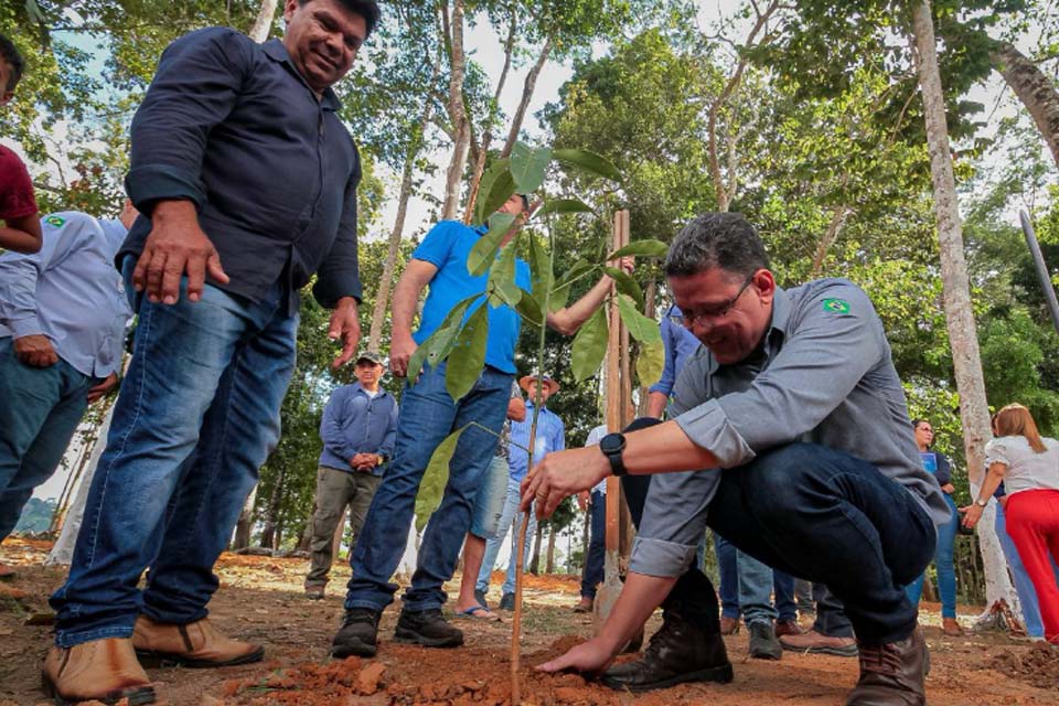 Desmatamento no Estado de Rondônia cai 64% na gestão do Governador Marcos Rocha