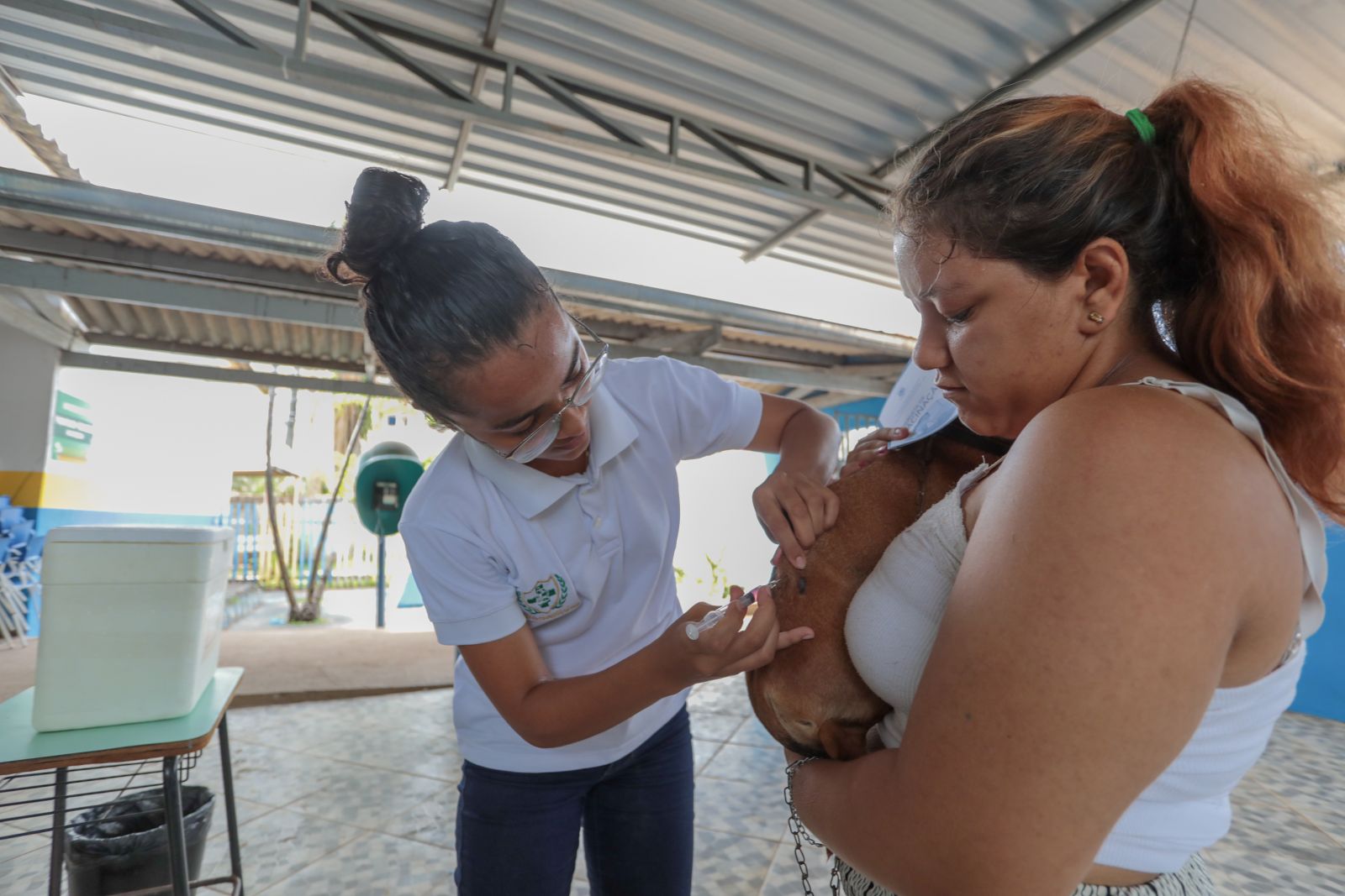 Divisão de Controle de Zoonoses leva vacinação antirrábica para comunidade Colônia Viçosa