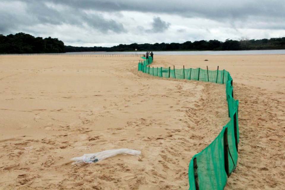 Sedam acompanha preparativos para soltura de tartarugas que acontece no município