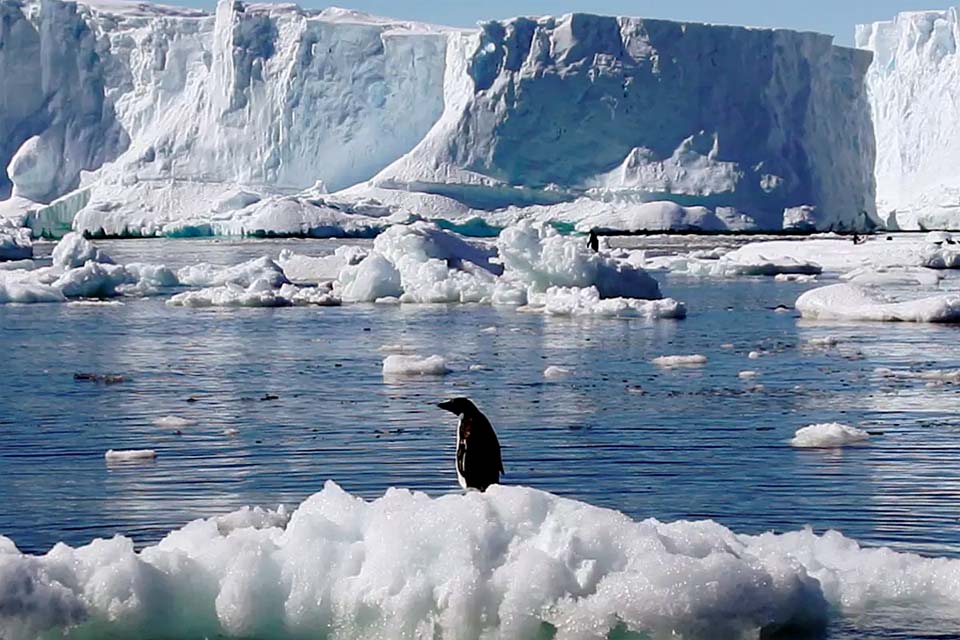 Gelo marinho da Antártica atinge nível mais baixo dos últimos 40 anos