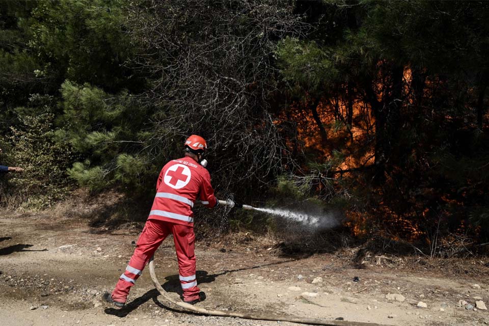 Incêndio no nordeste da Grécia está próximo de ser controlado, anuncia porta-voz do governo