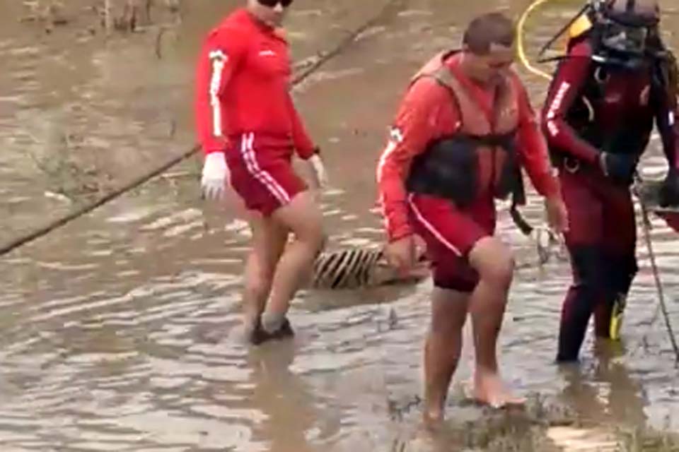 Corpo de 'Sarita da 7' é resgatado do rio Madeira pelo corpo de Bombeiros 