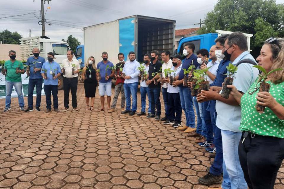 Mais de 600 mil mudas de café são distribuídas para produtores rurais da região