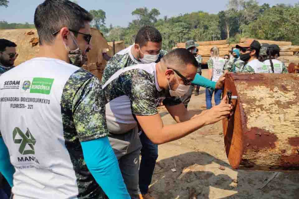 Técnicos da Sedam participam de treinamento sobre manejo florestal sustentável