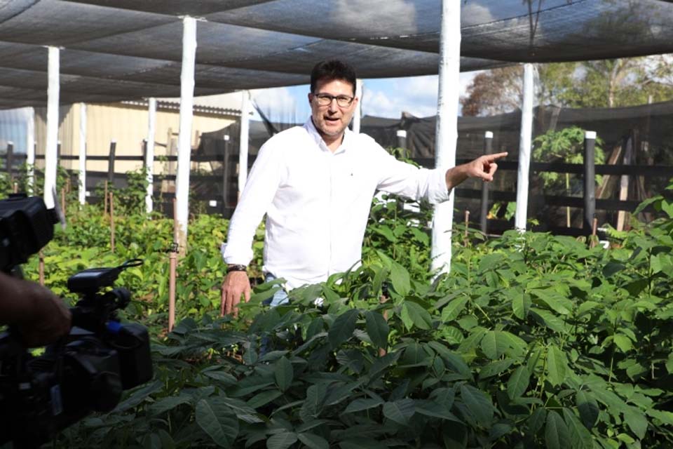 “Colhendo sementes, construindo viveiros, plantando florestas”, de Ji-Paraná ganha o Innovare na categoria CNJ