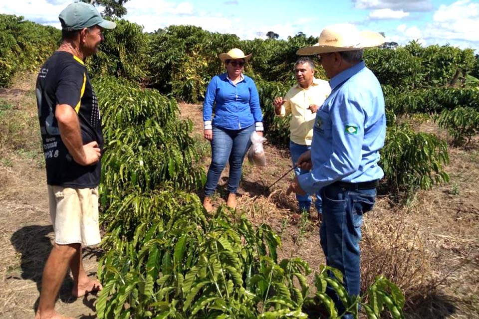 Emater orienta produtores de café sobre técnica de fermentação de grãos para obter produtos de alta qualidade