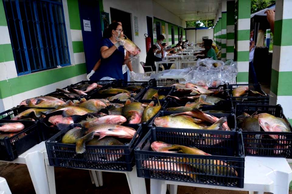 Prefeitura entrega cestas básicas e peixes para famílias carentes