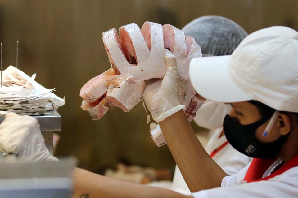 Semana do Pescado incentiva temporada de consumo no segundo semestre