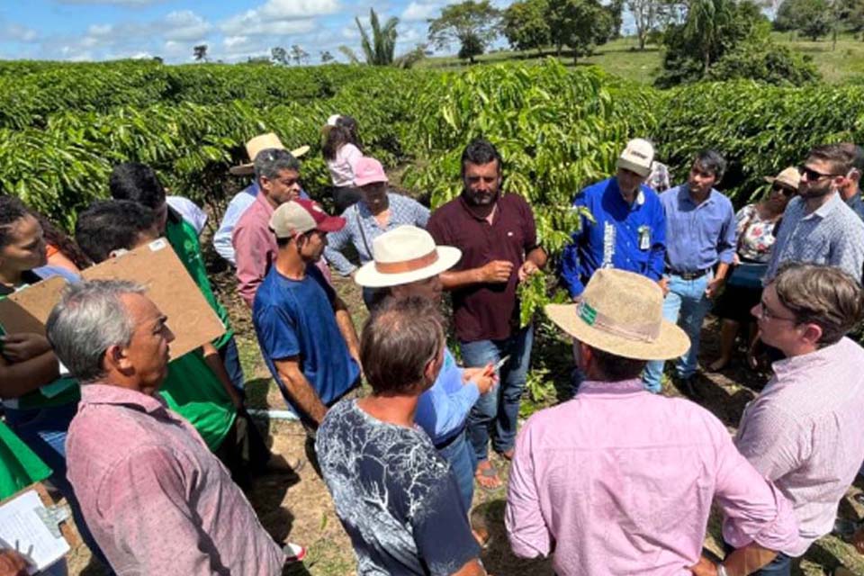 Emater leva assistência técnica em café clonal para produtores rurais