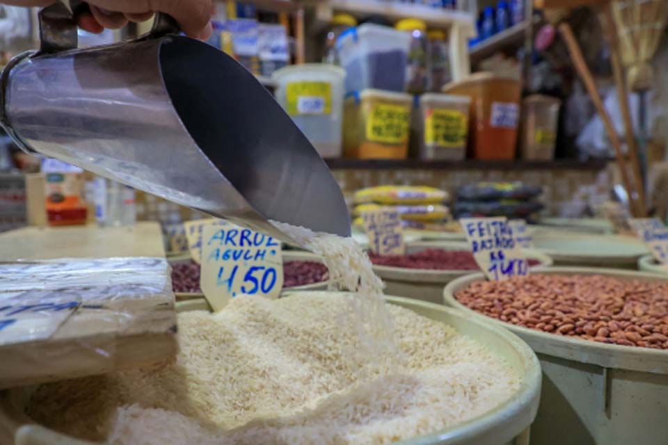 Produção de soja, milho e arroz em crescimento tornam Porto Velho nova fronteira agrícola