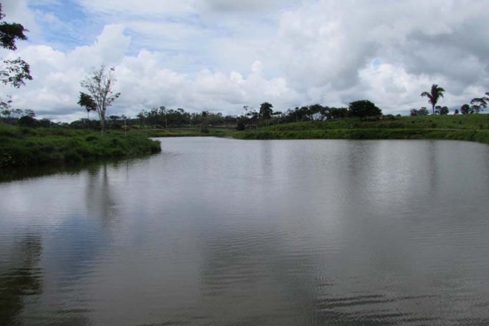 Pedidos de licença para criação de peixe aumentam em Rondônia