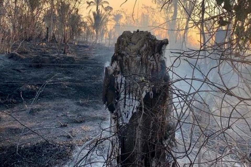 AGU cobra R$ 89 milhões de acusados de causar queimadas na Amazônia