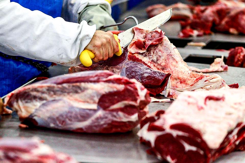 Rússia vai retomar importação de carnes bovina e suína do Brasil