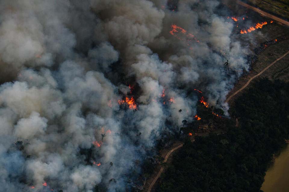 Desmatamento na Amazônia – Rondônia teve aumento de 450% na destruição em relação a 2022, aponta IMAZON