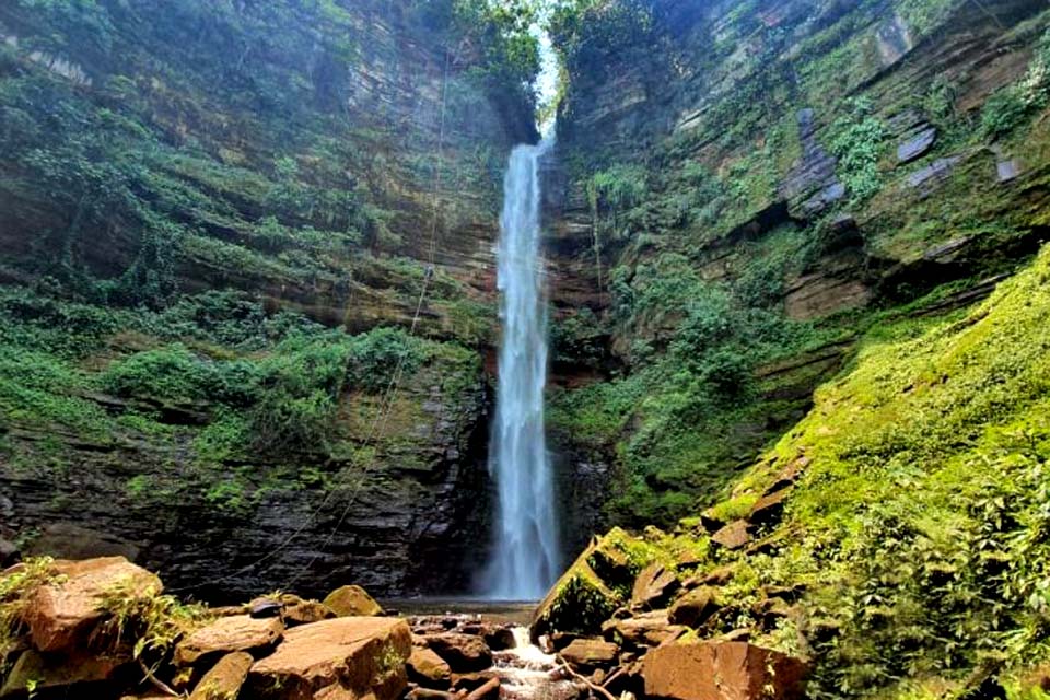 Alto Alegre dos Parecis completa 27 anos e se destaca pela produção de café, tomate e ecoturismo 