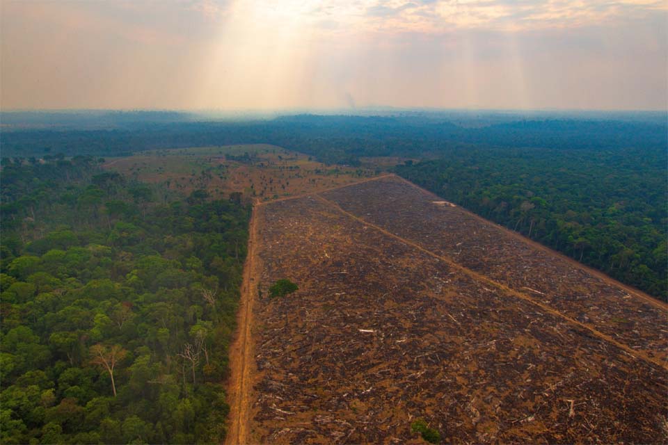 Imazon – Desmatamento na Amazônia é o menor em cinco anos; confira os números de Rondônia