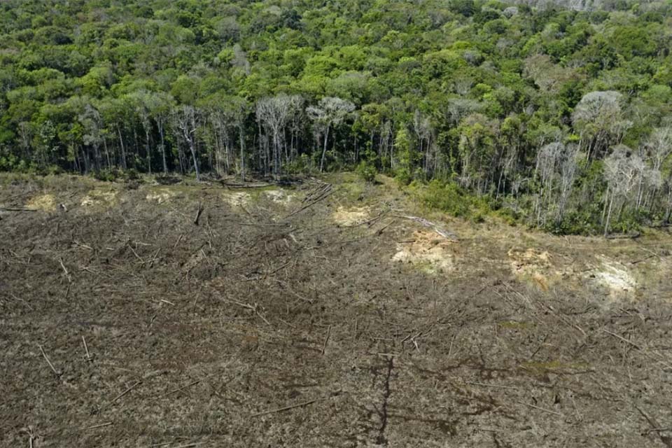 Área de desmatamento ilegal cresce 19% na amazônia em um ano