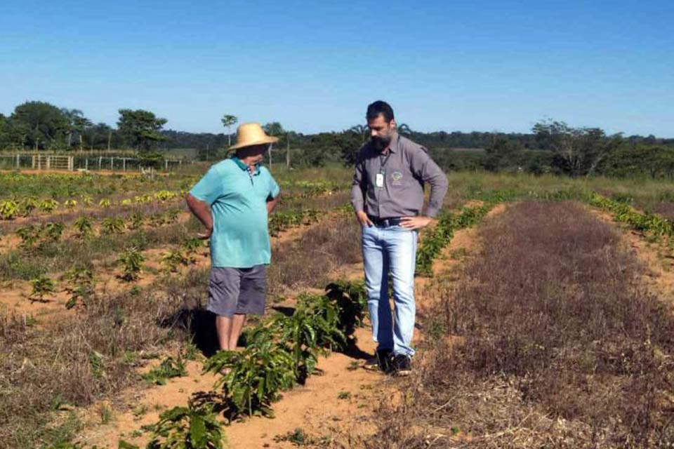 Assistência técnica da Semagri realizou 250 atendimentos nos primeiros seis meses