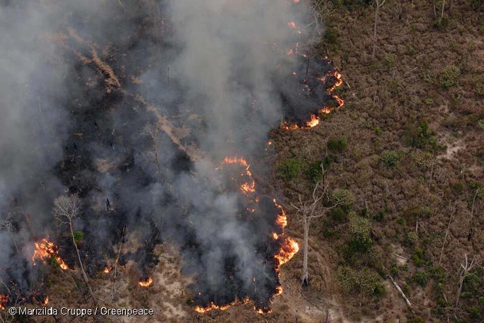 Greenpeace documenta recorde de queimadas na Amaznia em julho; Rondnia tem 3 maior foco