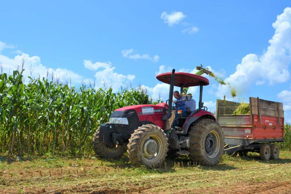 Prefeitura auxilia na produção de silagem em pequenas propriedades rurais