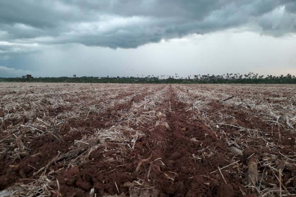 Com falta de chuvas, atraso no plantio da soja preocupa produtores e já compromete próxima safra de milho na região 