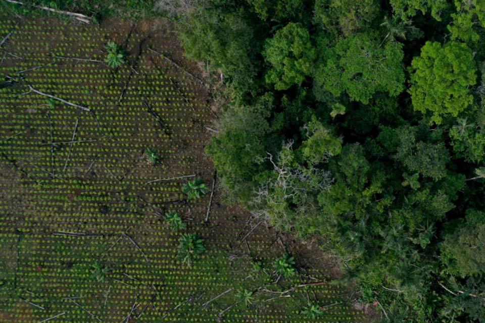 Seis brasileiros são presos na Colômbia em ação contra garimpo ilegal na Amazônia