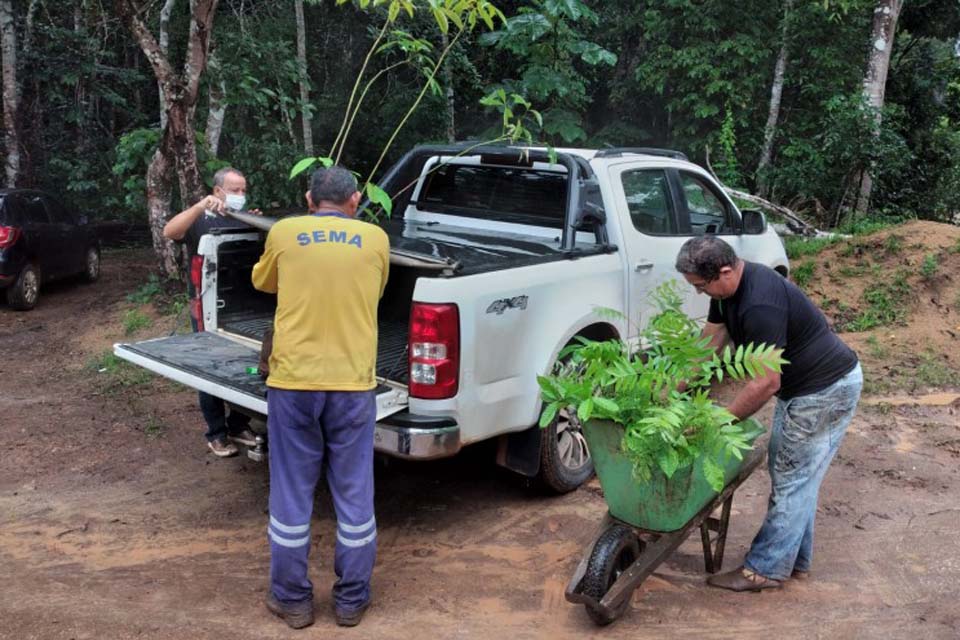 Porto Velho: Em ação estratégica, 1.500 plantas são entregues pelo Viveiro Municipal