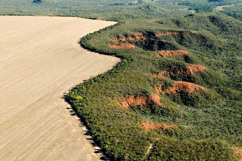 Cerrado: desmatamento emite 135 milhões de toneladas de CO2 desde 2023