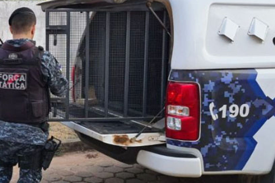 Bebedeira entre vizinhos termina com um ferido a golpes de faca