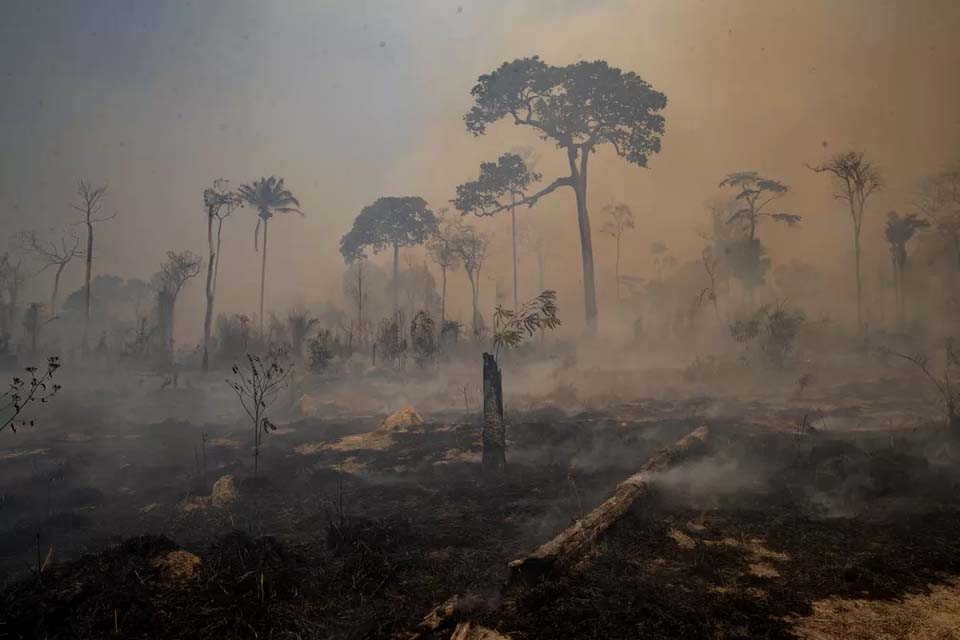 Relatório da CGU aponta que Ministério do Meio Ambiente colocou em risco continuidade do Fundo Amazônia