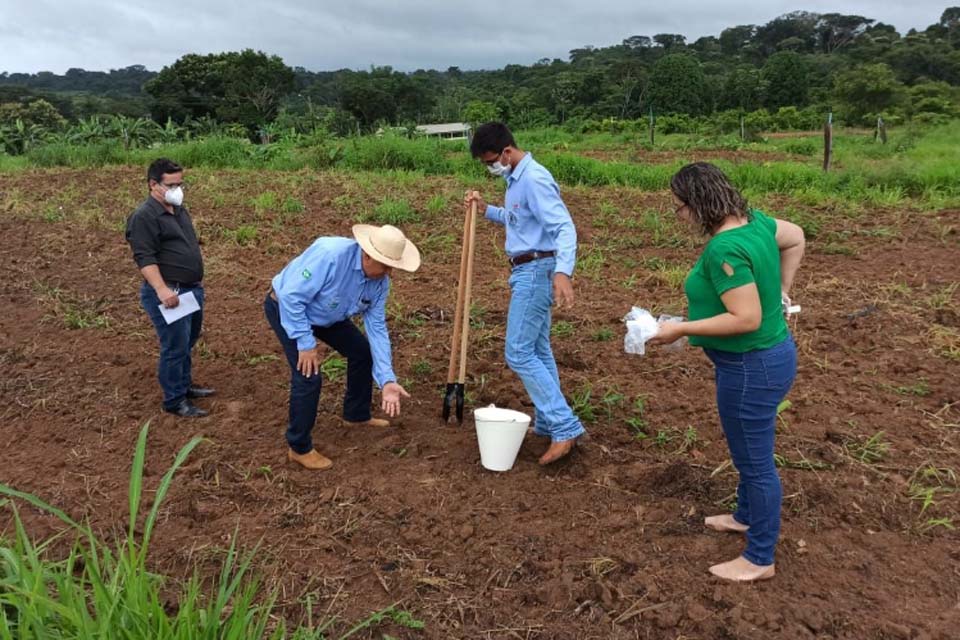 Governo do Estado, Instituto Abaitará e Semagri, firmam parcerias para projeto Inovador de Cultivo de Mamão e Abacate.