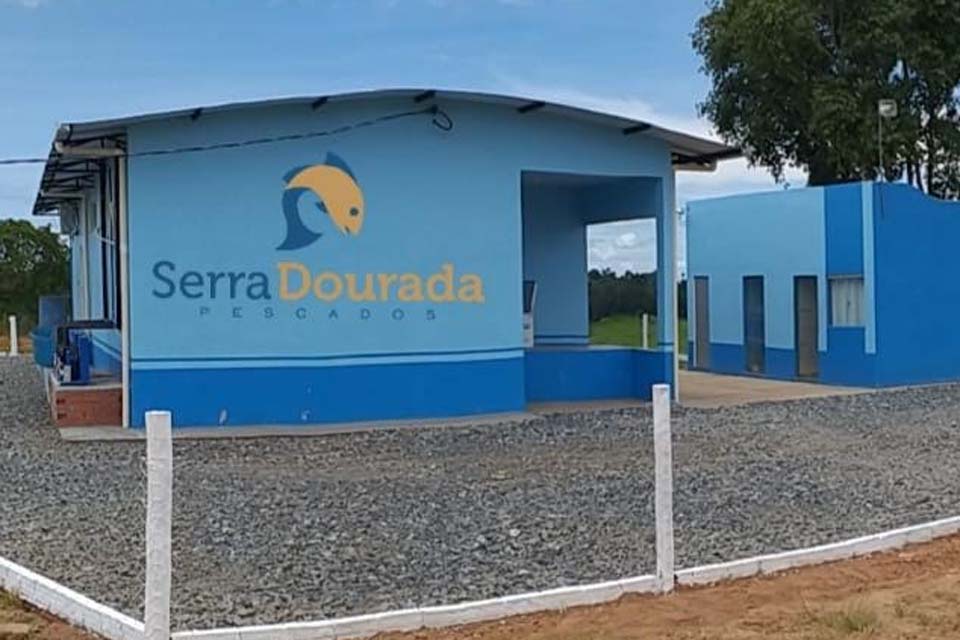 Sebrae continua atendimento tecnológico durante a pandemia