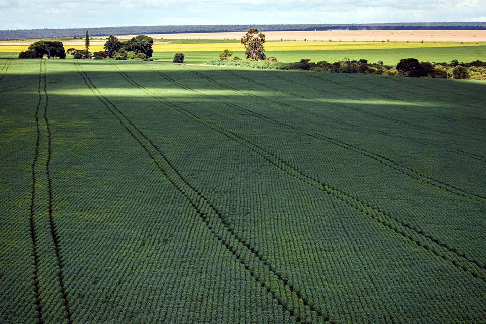 Estudo aponta desafios do seguro rural em meio a mudanças climáticas