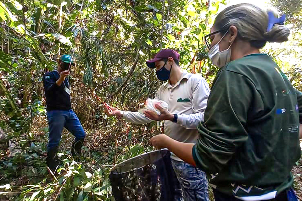 Programa que monitora biodiversidade em unidades de conservação é realizado em parque estadual de Rondônia