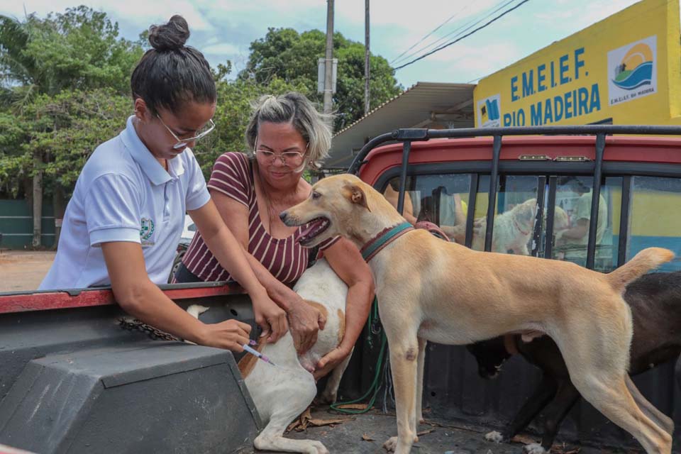 Dia de D de vacinação antirrábica em Porto Velho será 30 de setembro; cães e gatos devem ser imunizados anualmente