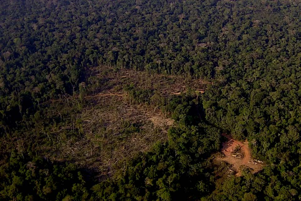 Nos primeiros oito meses de 2022, Amazônia Legal registra maior taxa de desmatamento em 15 anos