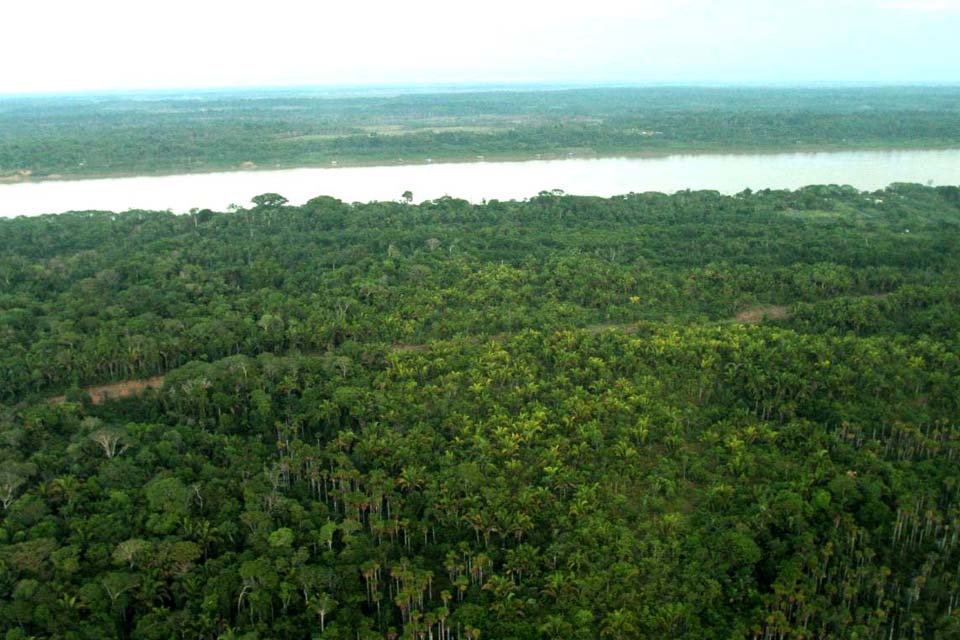 Governo de Rondônia participará de live com outros estados para discutir ações no combate a incêndios florestais