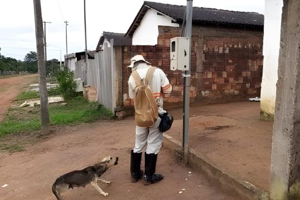 Energisa pede colaboração da população para evitar acidentes com cães