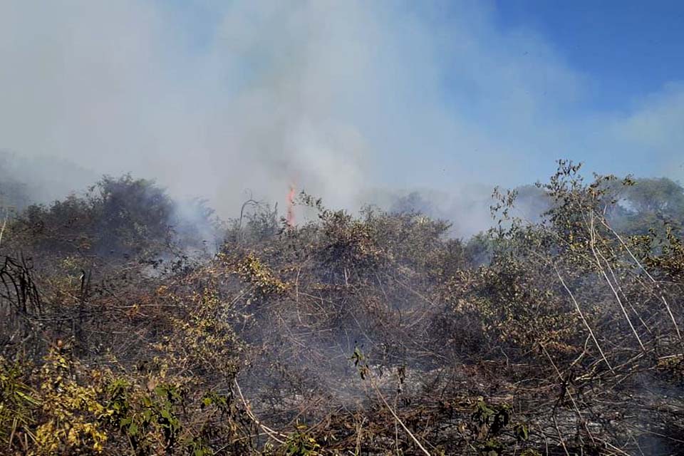 Incêndios no Pantanal motivam estado de emergência em 14 cidades em MS