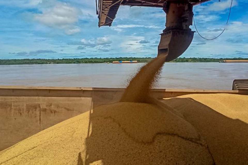 Crescimento do setor produtivo agrícola impulsiona outras culturas do agronegócio rondoniense